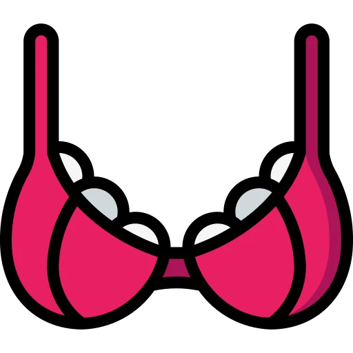 Bra