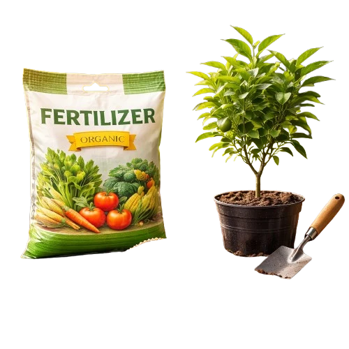 Agriculture Essentials